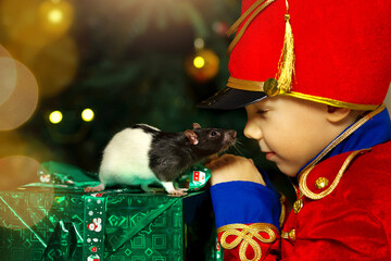 A boy in a nutcracker costume plays with the mouse symbol of the year. christmas tree and gifts