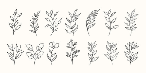 Set of botanical floral branch abstract one line art vector illustration