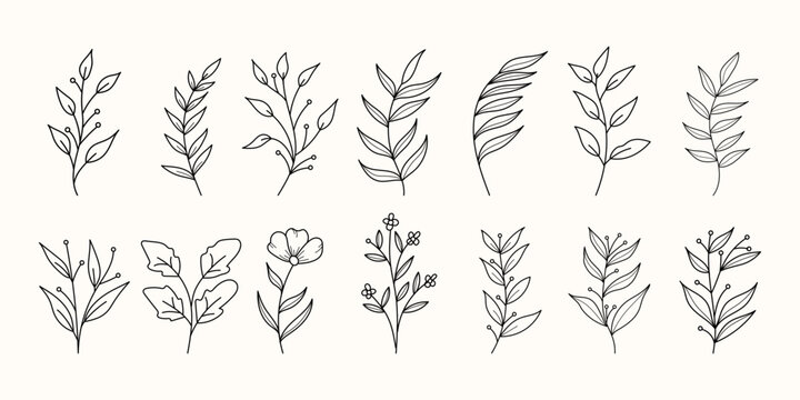 Set of botanical floral branch abstract one line art vector illustration