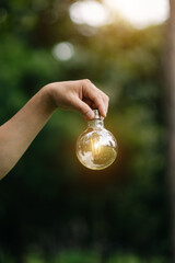 Hand holding light bulb on grass with solar energy and green background. power eco concept.