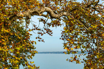 La rade de Genève en automne
