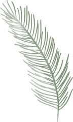 Watercolor winter pine leaf