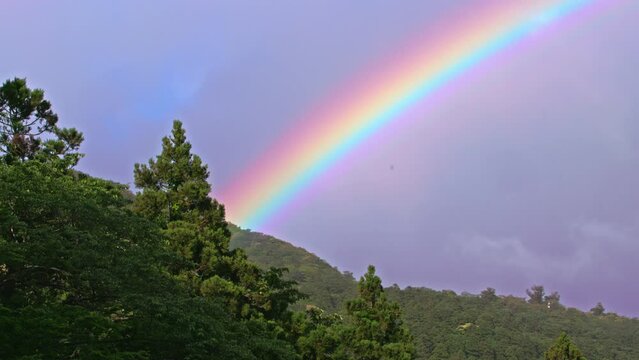 屋久島の虹