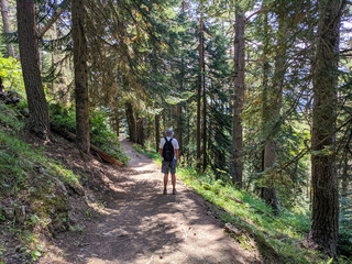 Arkhyz, Karachay-Cherkessia, Russia - August 25, 2022: Beautiful view of the coniferous forest. The rays of the sun break through the branches of trees. Man with a backpack stands on the path