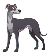 Greyhound Dog Cartoon Animal Illustration
