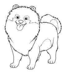 Pomeranian Dog Cartoon Animal Illustration BW