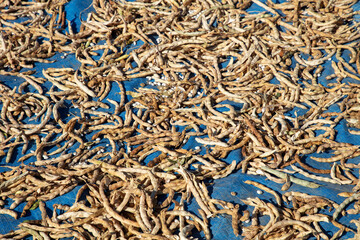 dried green beans general view
