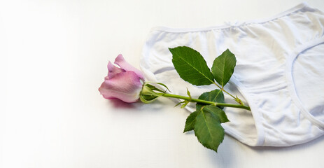 Cotton panties with a rose flower on a white background. Close-up. Underwear. Woman pants.