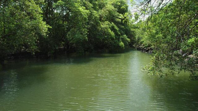 Aerial view low over a river in the rainforests of west Africa - reverse, drone shot
