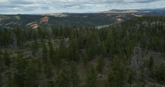 High aerial above Tropic Reservoir and pine tree forest in southern Utah near Bryce Canyon