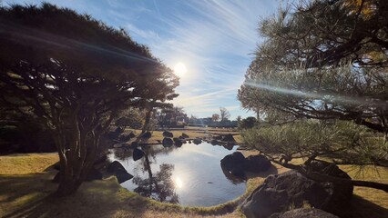 晴天、美し過ぎる日本庭園