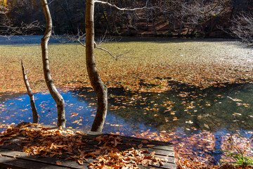 Autumn landscape beautiful colored trees,  autumn leaves over the lake, glowing in sunlight. wonderful picturesque background. Colors in nature gorgeous view. Yedigöller, Bolu, Turkey