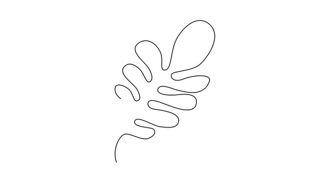One Line Drawing Eucalyptus Leaf Twig Animation, Minimal One Line Drawing Palm Tree Leaf, Continuous Line Draw, Tropical Animated Illustration