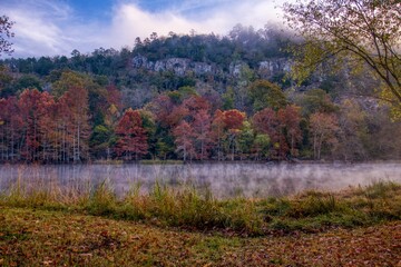Scenic shot of colorful trees in Beavers Bend State Park Rock in Oklahoma