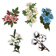 set of drawn colored flowers. cartoon sketch on a white background