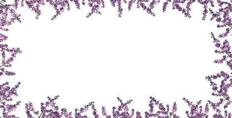 Cherry blossom, sakura, 3d rendering.