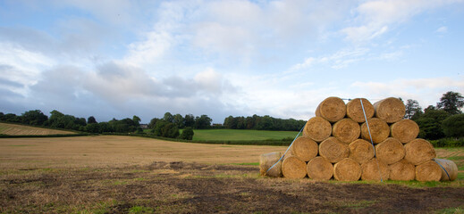 Rural landscapes. Rolls of haystacks on the field