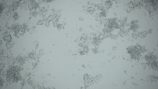 Wet snow falls on the glass melts and flows a drop down on a window at Christmas time. Cold wet weather on window pane.