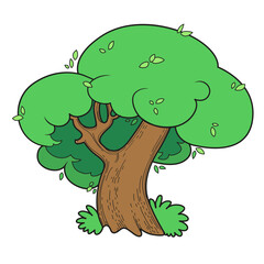 Big old deciduous tree color variation for coloring page isolated on white background