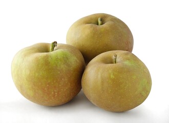 various multicolor sweet apples close up