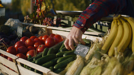 Farmer lays out vegetables or fruits, prepares point of sale to the start of a productive work day. Man feels happiness, engages favorite job. Vegetarian and organic food. Agriculture. Close-up view.