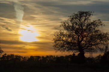 landscapewith sunrise in the fog