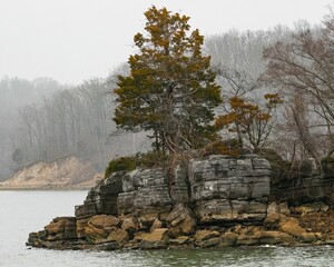 Rocky cliff near the sea with tree roots all around it