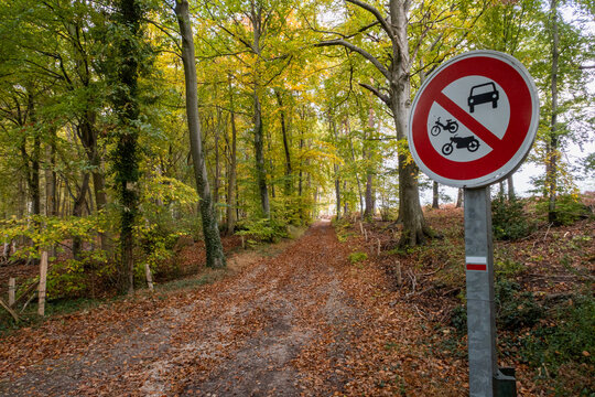 Panneau d'interdiction de circulation aux engins &agrave; moteurs sur un chemin &agrave; l'entr&eacute;e d'une for&ecirc;t