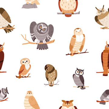 Cute owls pattern. Seamless background, funny realistic wild birds, owlets, repeating print. Endless nature texture design for textile, fabric, wallpaper, decoration. Flat vector illustration