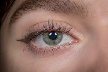 Fototapeta na wymiar Nahaufnahme eines Auges mit Iris und Augapfel Pupille eines jungen weiblichen Mädchen Frau, Deutschland