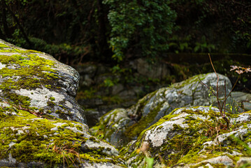 Rounded rocks due to the erosion of river water