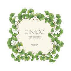 Ginkgo biloba leaves. Border, frame, template for product label, cosmetic packaging. Easy to edit. Vector illustration. In botanical style