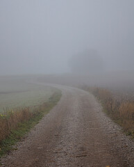 road in the mist