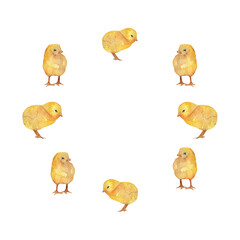 Frame with chick. Watercolor hand-drawn frame with farm illustration on white background.