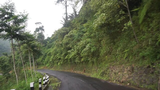 trip with natural scenery of hills and tall green trees with cloudy foggy weather after rain during the day
