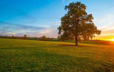 Fototapeta na wymiar Fields and trees in a green hilly grassy landscape under a blue sky at sunrise in autumn, Voeren, Limburg, Belgium, November, 2022