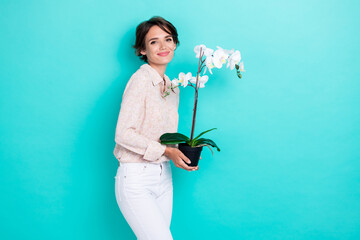 Photo of adorable cute funny pretty lady dressed trendy outfit arm hold office plant empty space...
