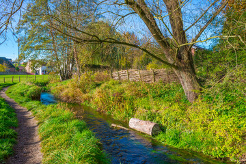 Fototapeta na wymiar Grassy green edge of a stream through a small village in bright sunlight at fall, Voeren, Limburg, Belgium, November, 2022