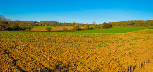 Fields and trees in a green hilly grassy landscape under a blue sky in sunlight in autumn, Voeren, Limburg, Belgium, November, 2022