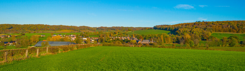 Obraz premium Fields and trees in a green hilly grassy landscape under a blue sky in sunlight in autumn, Voeren, Limburg, Belgium, November, 2022