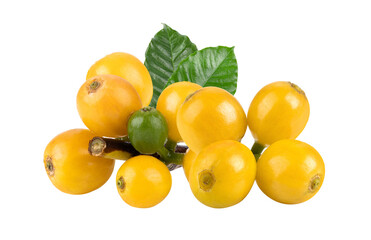Yellow coffee beans isolated on transparent png