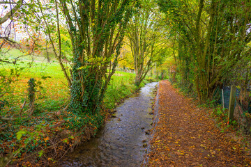 Fields and vegetables in a green hilly grassy landscape under a blue sky in sunlight in autumn, Voeren, Limburg, Belgium, November, 2022