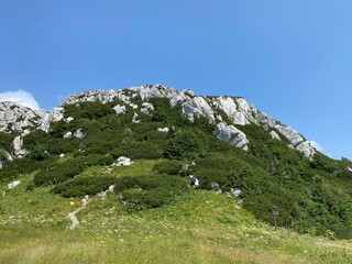 Fototapeta na wymiar Peak Veliki Risnjak (1,528 m) in Risnjak National Park, Crni Lug - Croatia (Vrh Veliki Risnjak (1.528 m) u nacionalnom parku Risnjak, Crni Lug - Gorski kotar, Hrvatska)