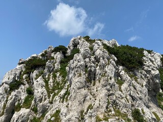 Peak Veliki Risnjak (1,528 m) in Risnjak National Park, Crni Lug - Croatia (Vrh Veliki Risnjak (1.528 m) u nacionalnom parku Risnjak, Crni Lug - Gorski kotar, Hrvatska)