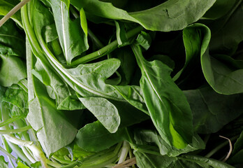close-up organic green spinach leaves