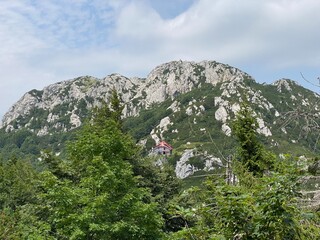 Fototapeta na wymiar Peak Veliki Risnjak (1,528 m) in Risnjak National Park, Crni Lug - Croatia (Vrh Veliki Risnjak (1.528 m) u nacionalnom parku Risnjak, Crni Lug - Gorski kotar, Hrvatska)