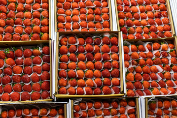 Many fresh natural strawberry in vietnamese night market in Da Lat