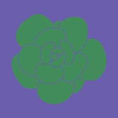 Hand drawn vector succulent logo. Beautiful modern pattern.