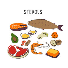 Sterols-containing food. Groups of healthy products containing vitamins and minerals. Set of fruits, vegetables, meats, fish and dairy.