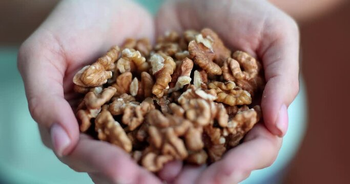 Fresh healthy walnuts in hands of woman closeup